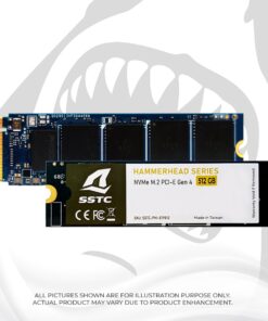 Ổ Cứng SSD SSTC Phi E19 512GB M.2 NVMe PCIe Gen 4.0 x4 (3600/3000 MB/s)