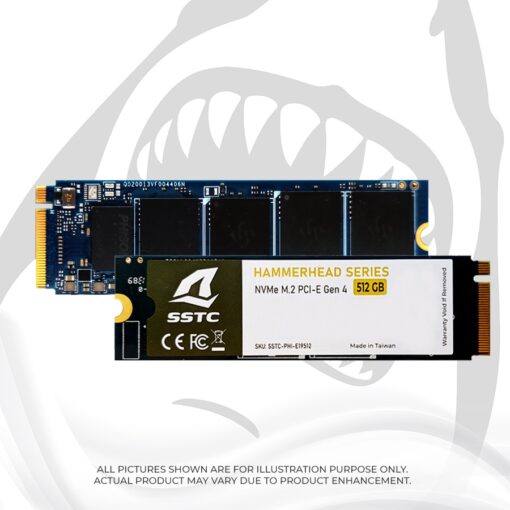 Ổ Cứng SSD SSTC Phi E19 512GB M.2 NVMe PCIe Gen 4.0 x4 (3600/3000 MB/s)